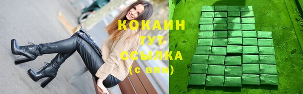шишки Беломорск