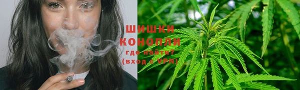 шишки Беломорск
