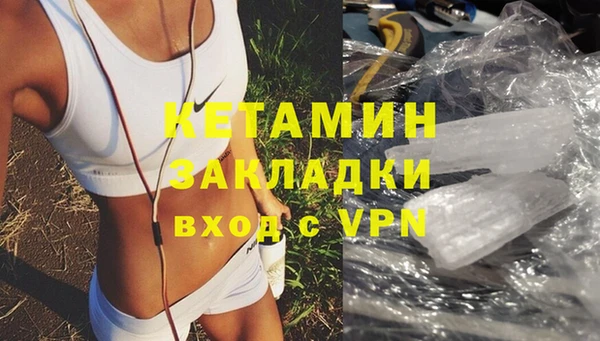 шишки Беломорск
