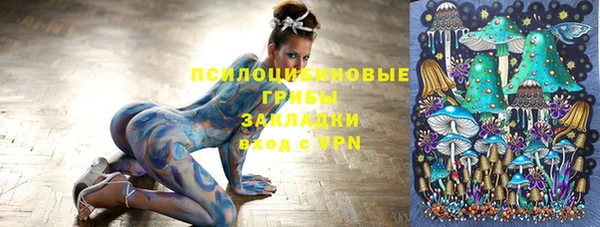 шишки Беломорск