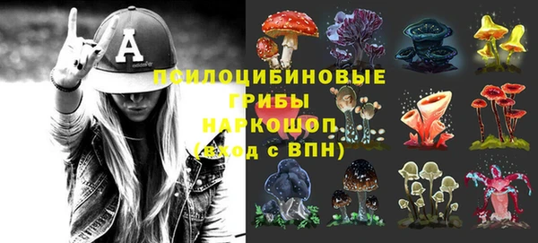 mdma Белокуриха