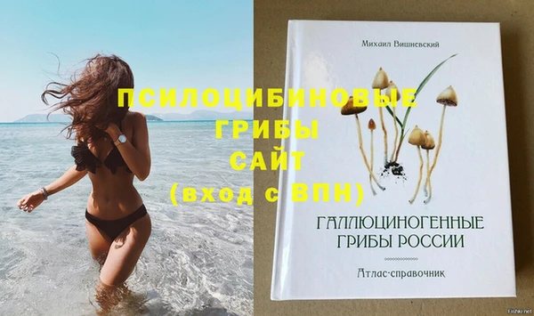 шишки Беломорск