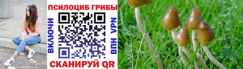 Псилоцибиновые грибы мухоморы магазин продажи наркотиков Чудово