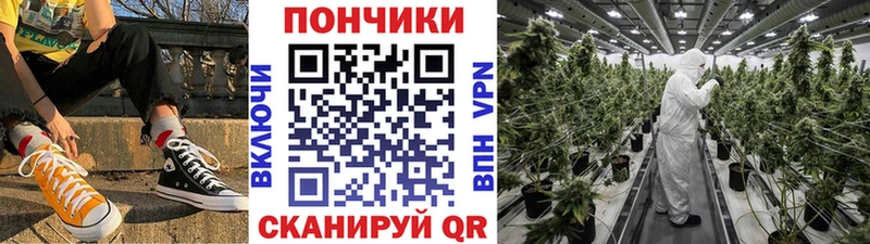 даркнет сайт  Чудово  Бошки марихуана конопля 